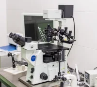 Центр репродуктивного здоровья СМ-Клиника на Ленинградском проспекте Фотография 2